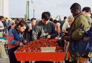 �|���g�K���̉���