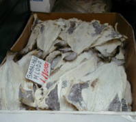 �|���g�K�������@�o�J�����E