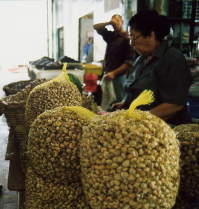 �|���g�K�������@�����ނ�