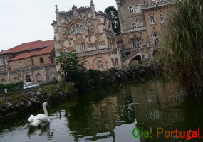 Mata Nacional do Bussaco uTR