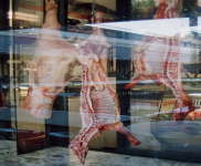 �|���g�K������