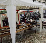 �|���g�K������