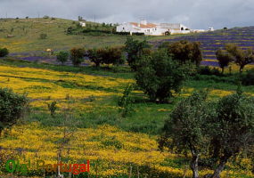 Arraiolos, Portugal