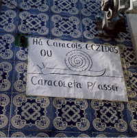 �|���g�K�������@Caracois