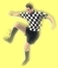 �|���g�K���T�b�J�[�@�{�A���B�X�^