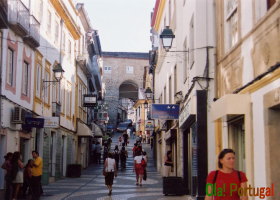 �|���^���O��