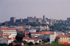 �t�B�Q�C���E�_�E�t�H�X