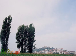 �����e���[���E�I�E���F�[����