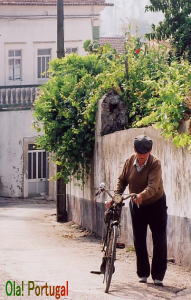 �|���g�K���̊X����